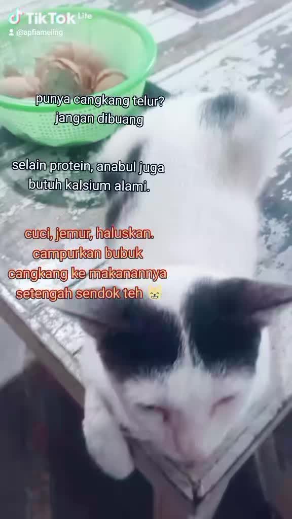 @apfia mei