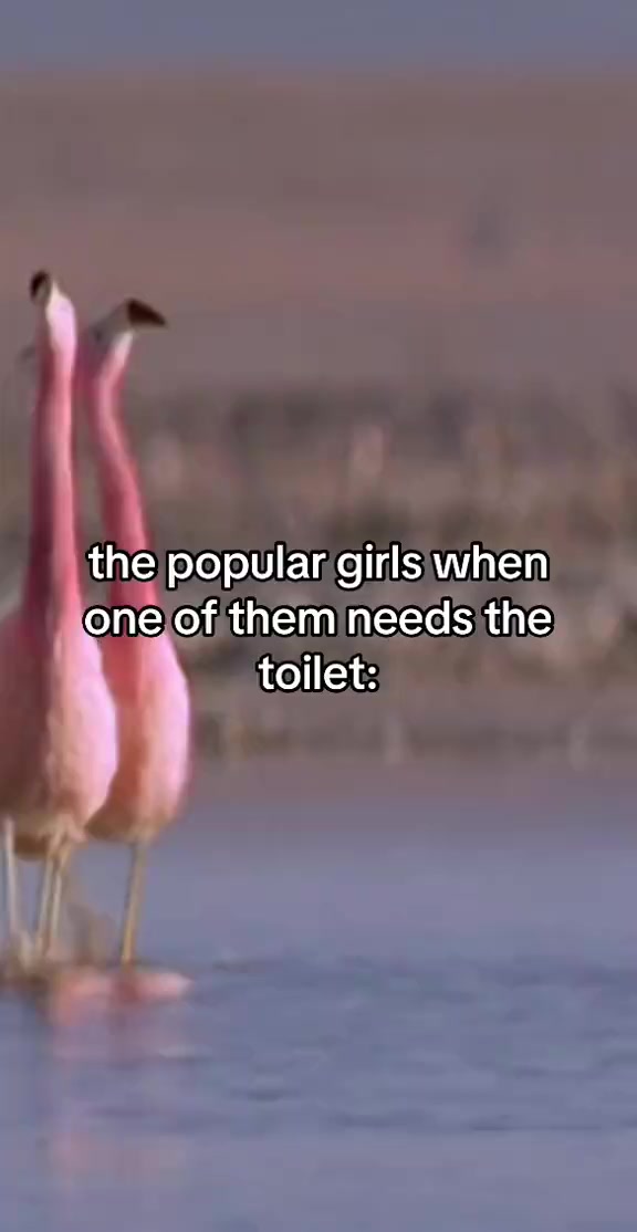 @๐๐๐ซ๐ฅ