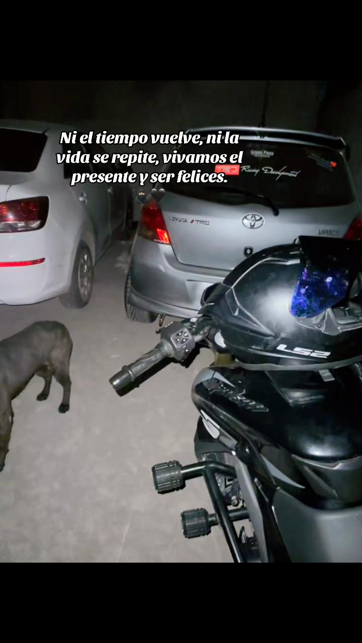 @Brando Osorio ❤️&zwj;🩹