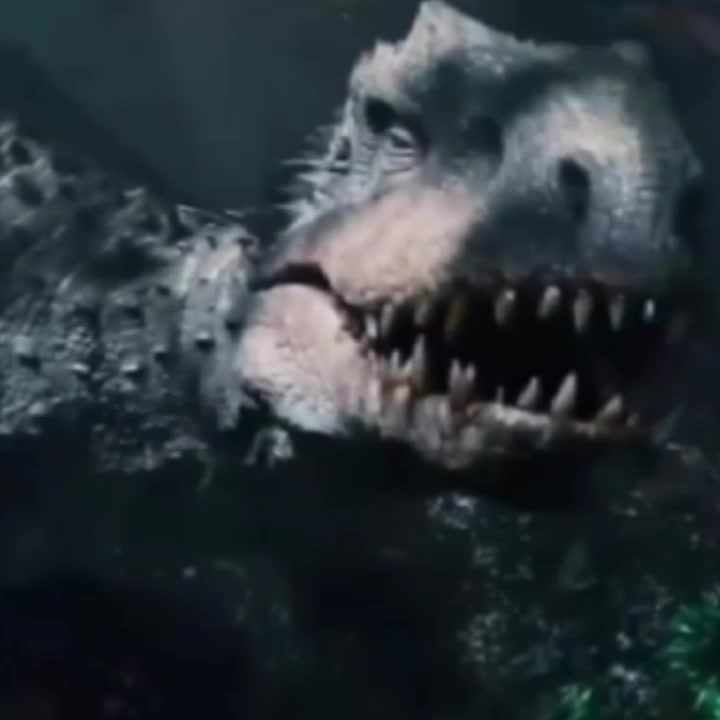 @Acrolog🦎🌱