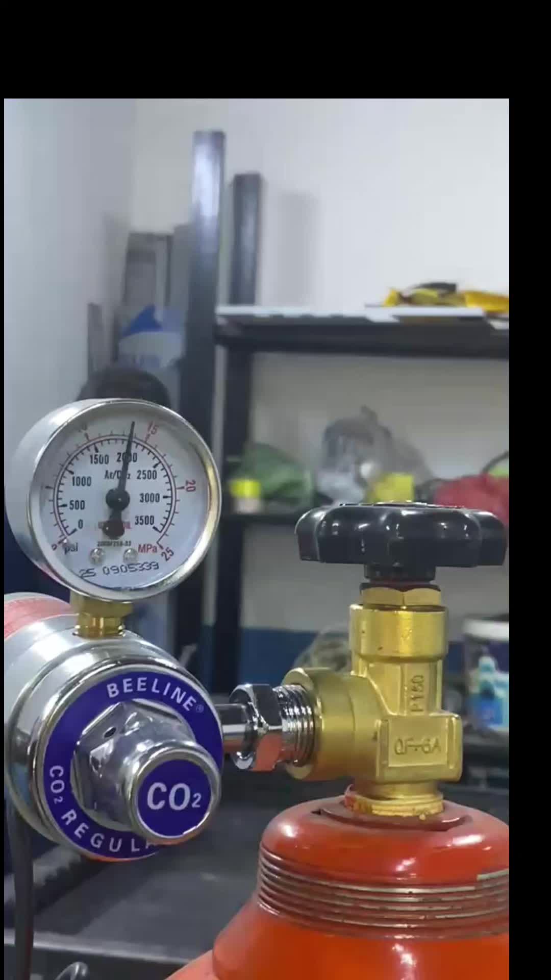 @علي عدنان سعدون