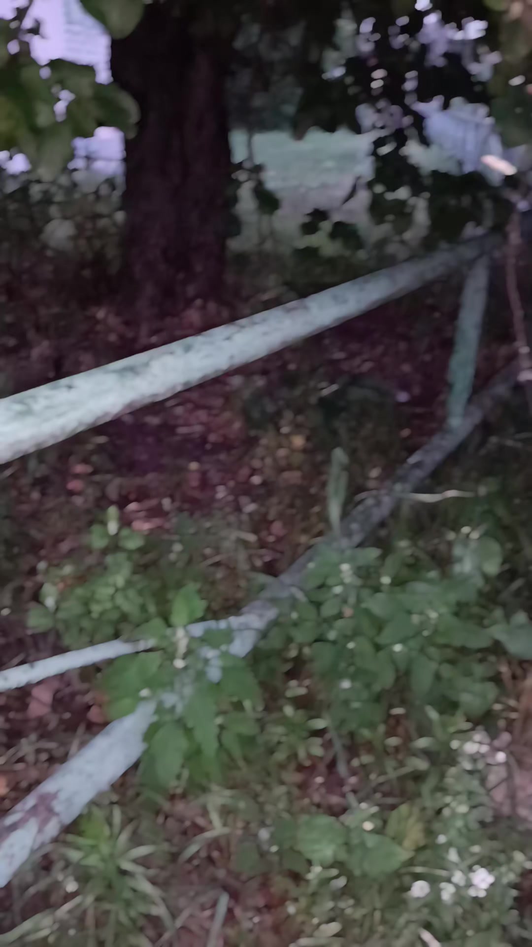 @Семья Стяговых