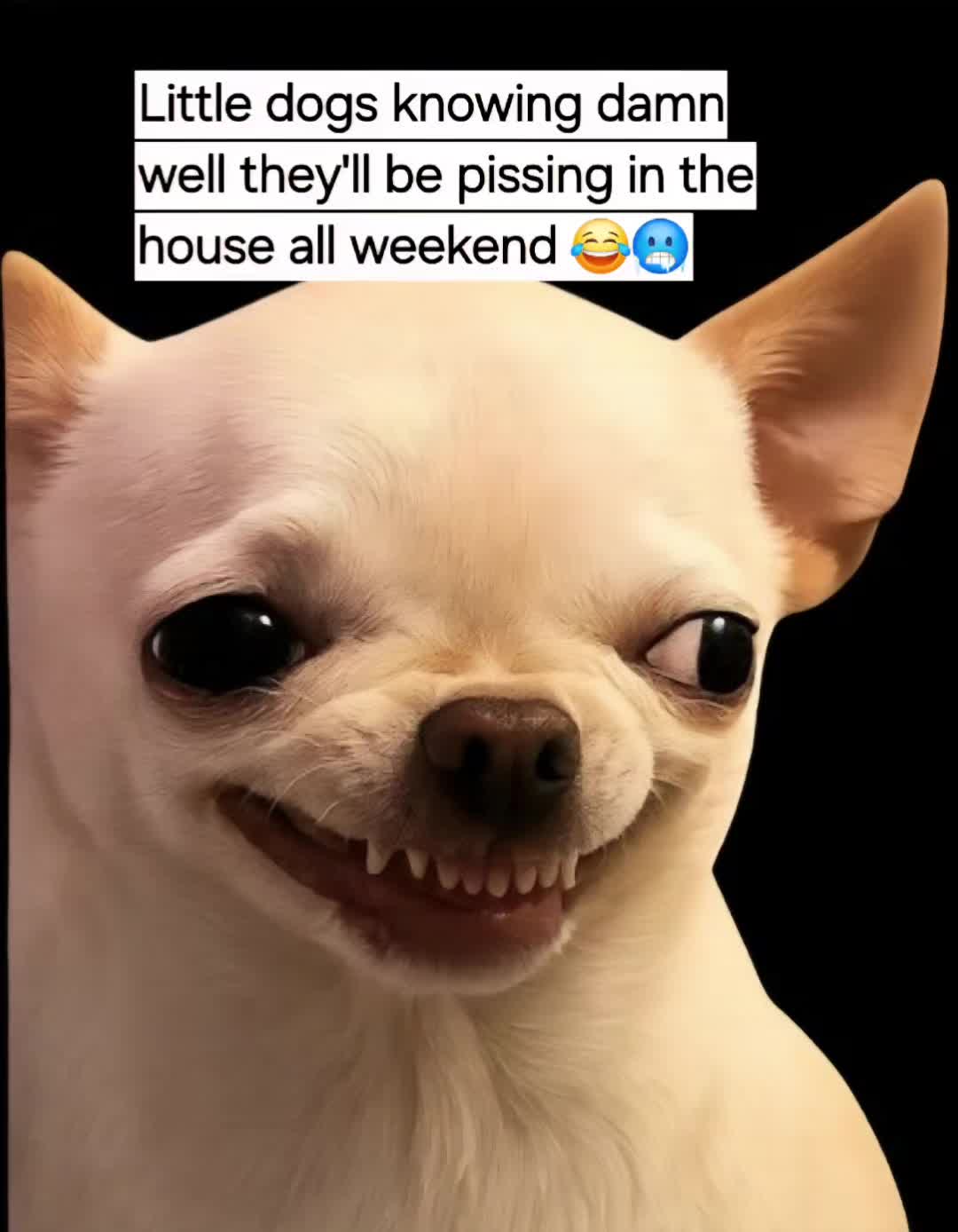@DexterAndMichael