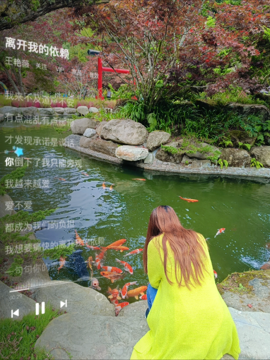 @Hui🍀