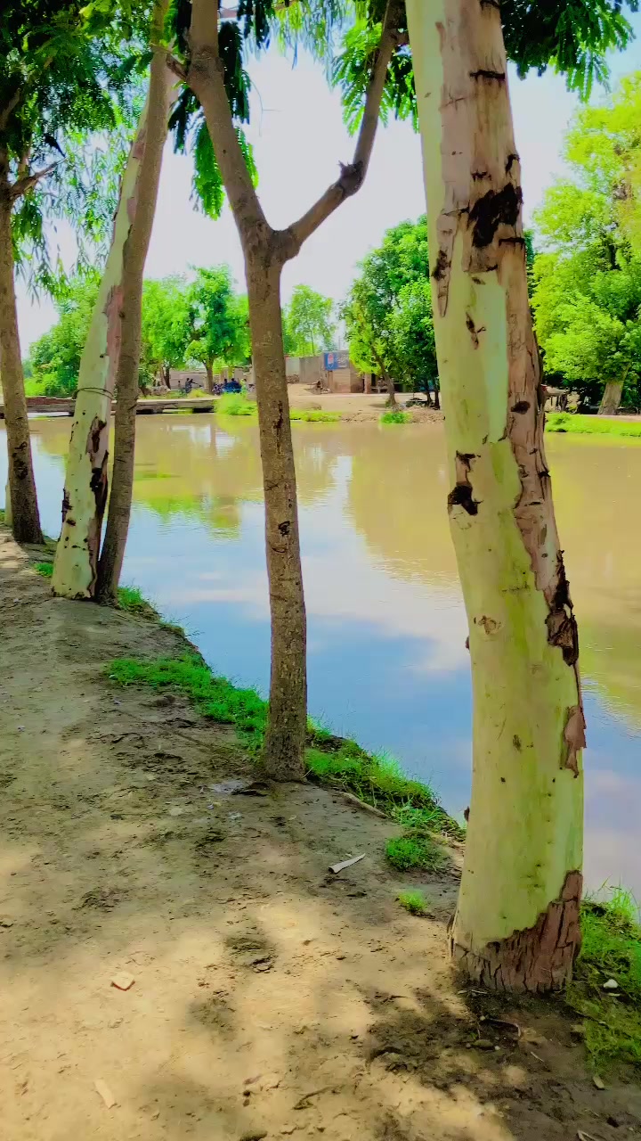 @زلمی۔ SDK
