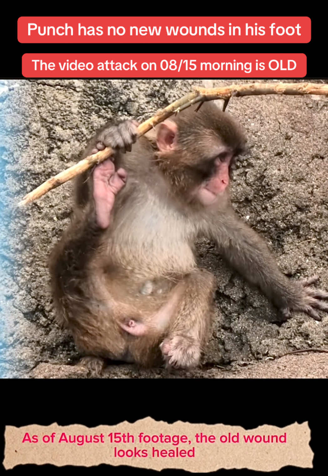 @Snoweeyy