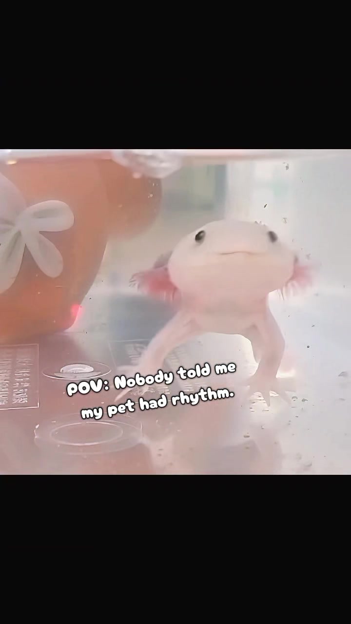 @𝓤𝓹𝓪꒰( ˙𐃷˙ )꒱