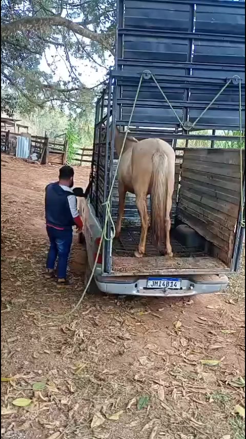 @Boiadeiro cuido !