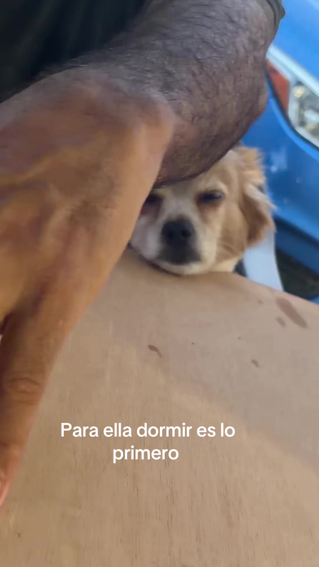 @yram1324