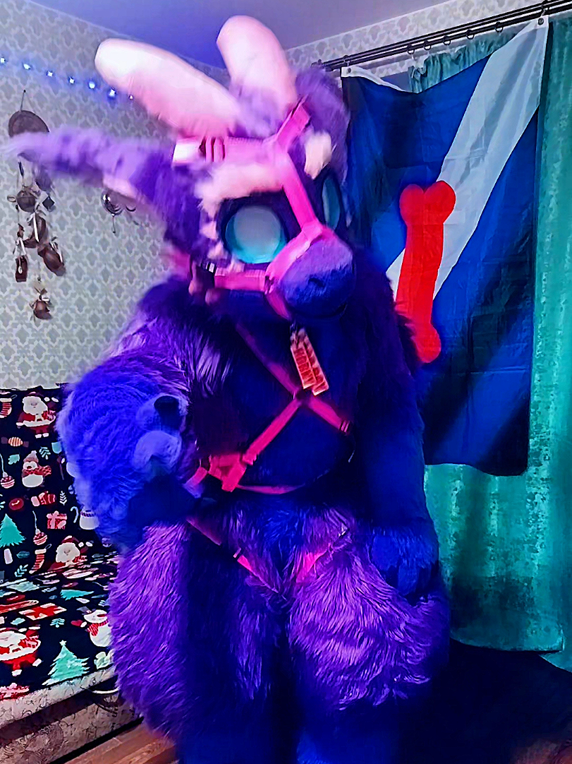 @🍇💠«𝓥𝓪𝓲𝓵 »💠🍇