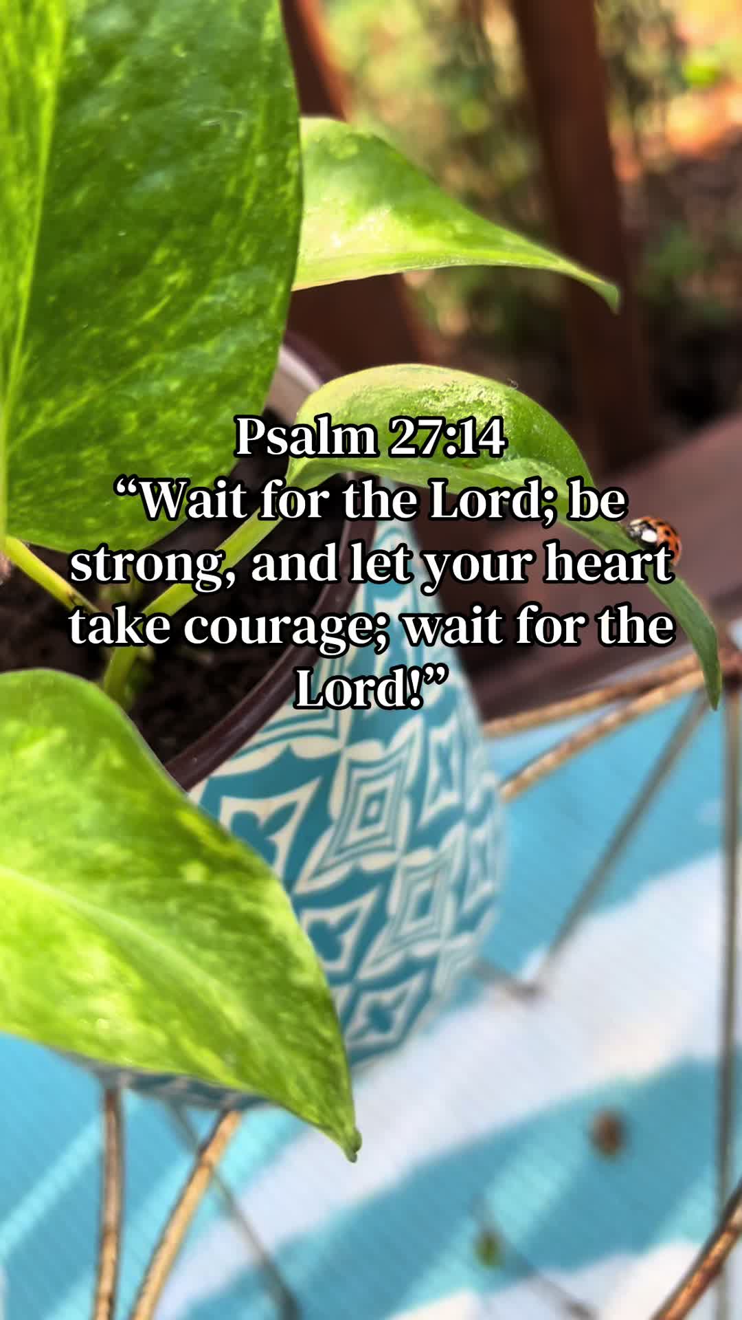 @strongdependentwoman