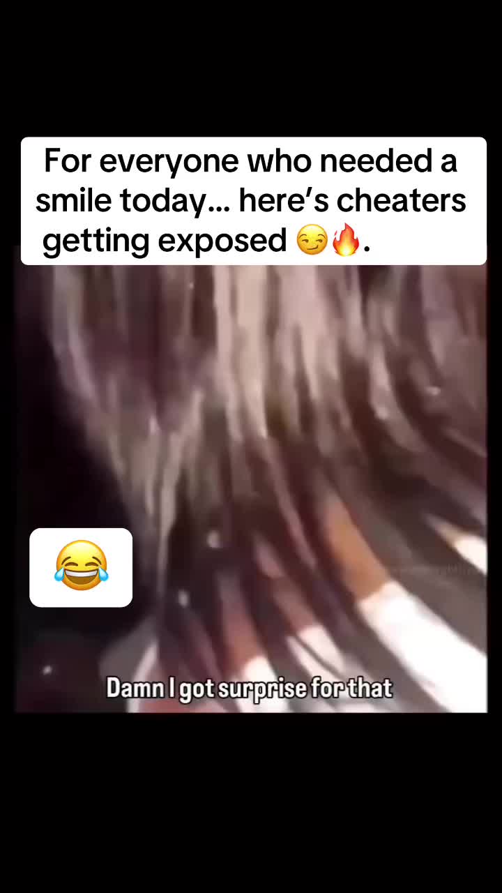 @MemeLand