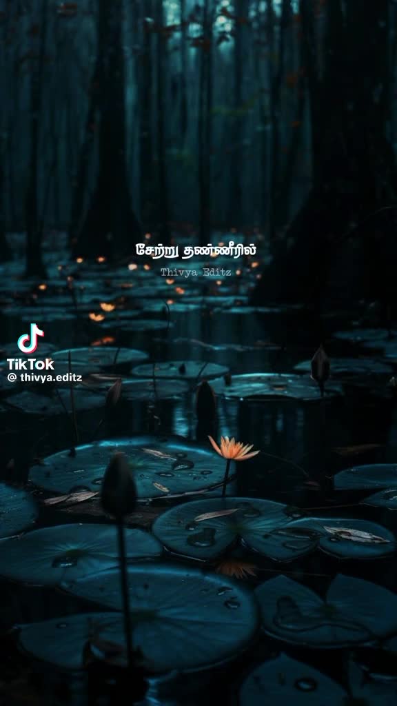 @R. thanesh R. thanesh