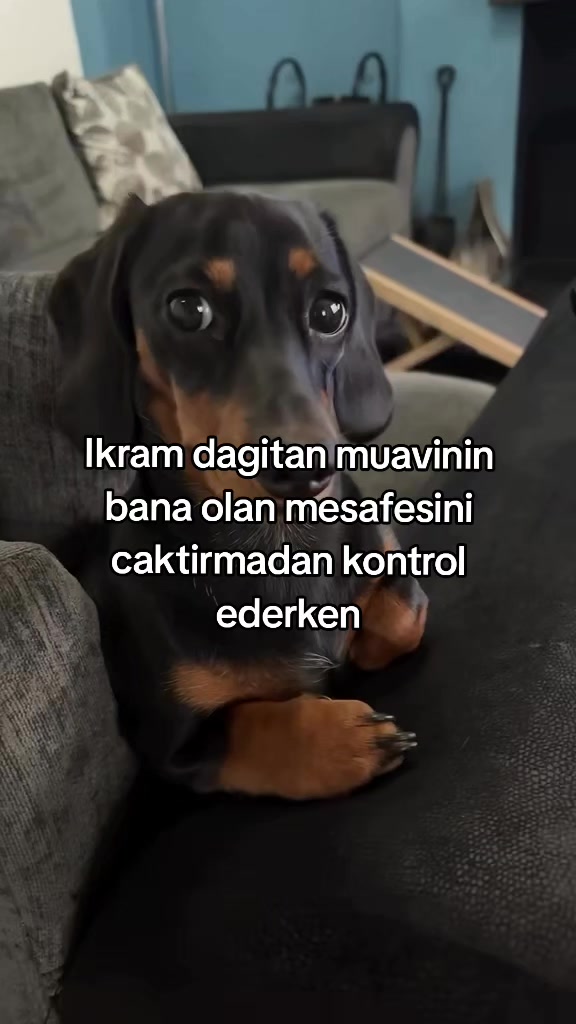 @rolland