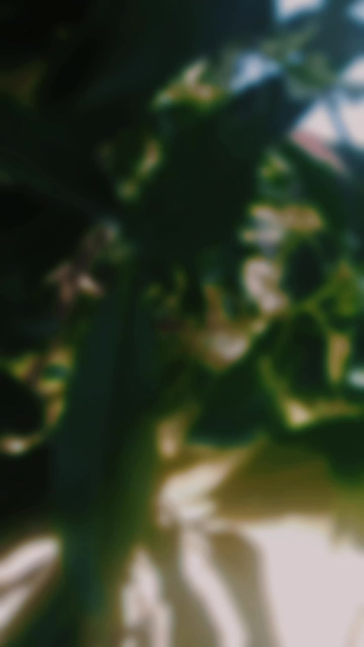 @𓃴🧸aua🧸𓃴