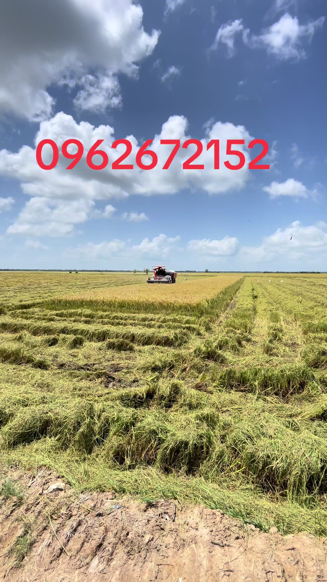 @DƯƠNG MINH HIẾU🇻🇳0962672152