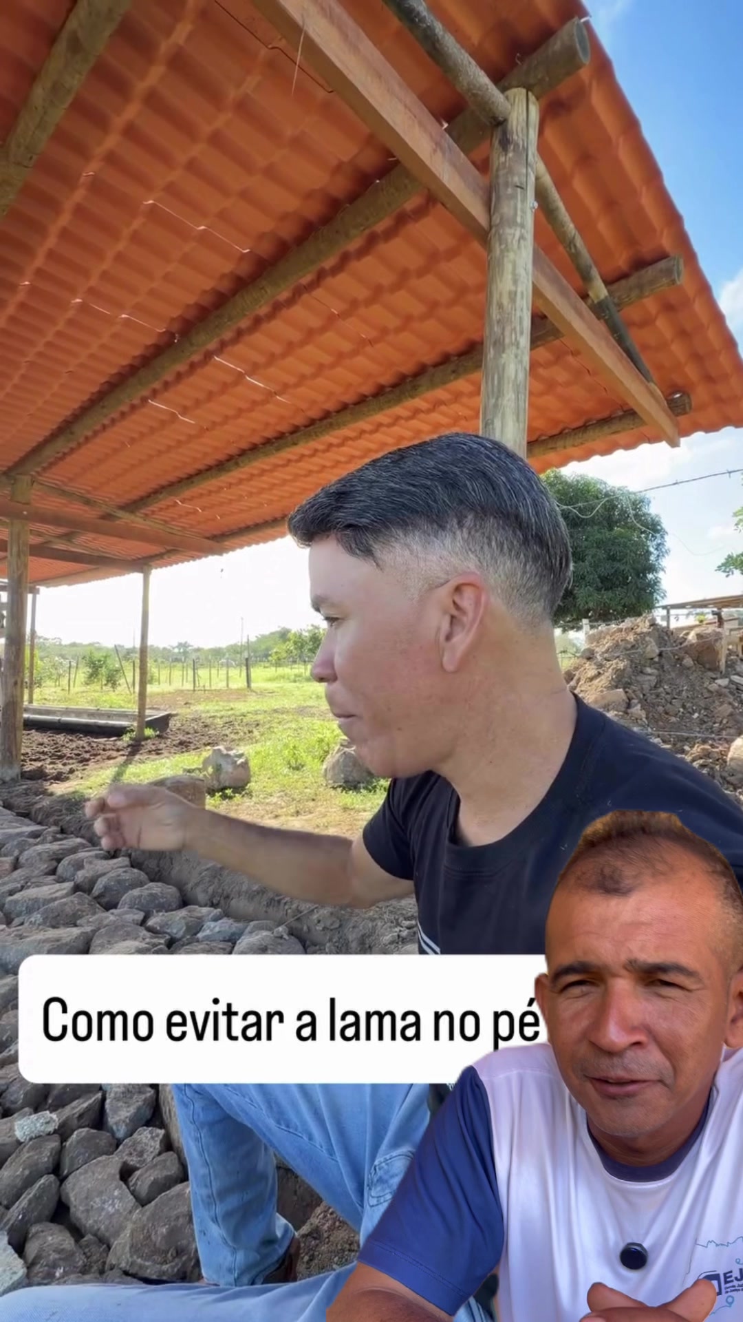 @Canal Vida na Roça