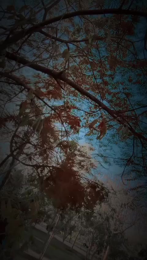 @𝓡🎐💲𝔸〽️🎭
