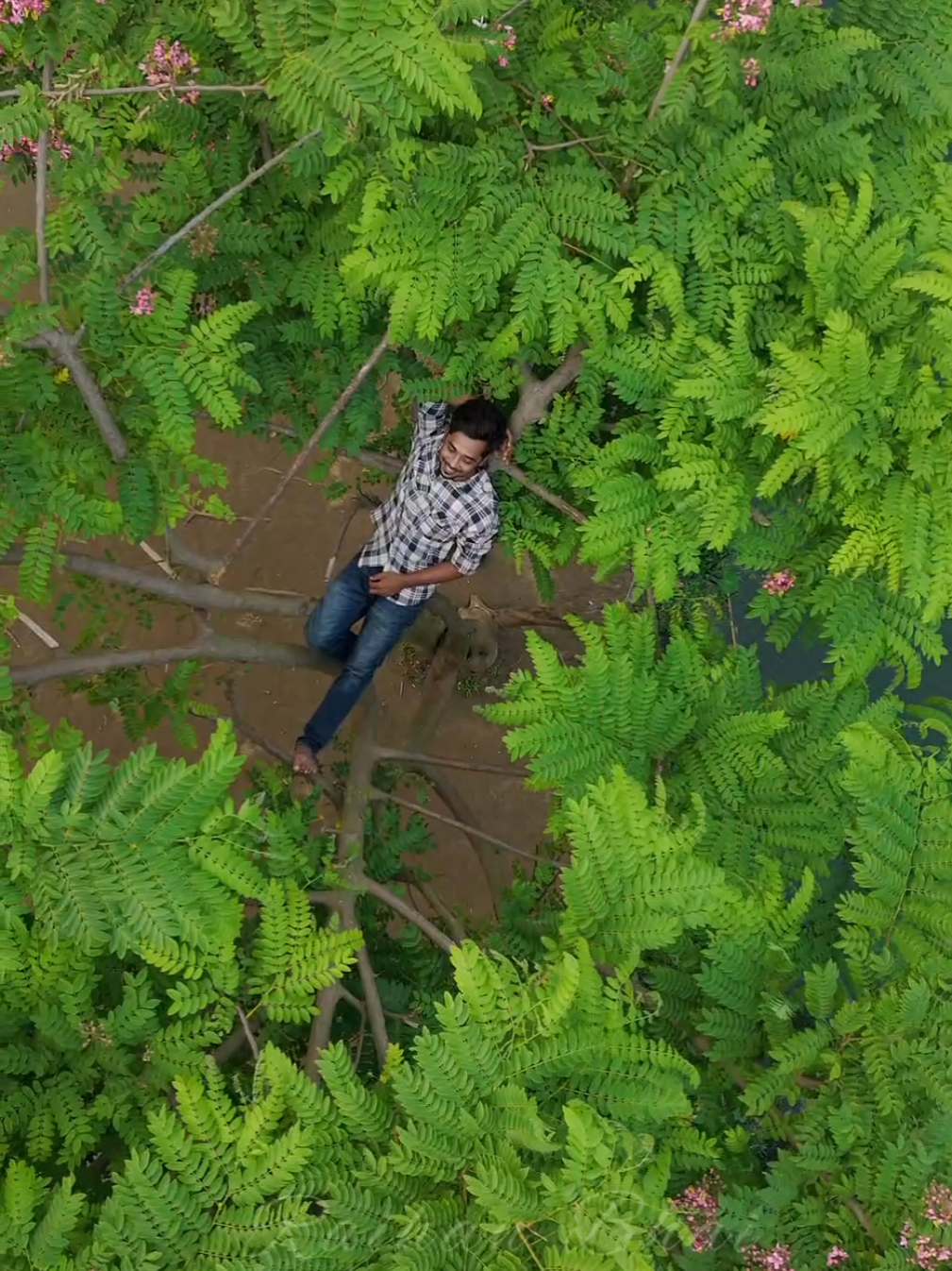 @Raihan Bhai