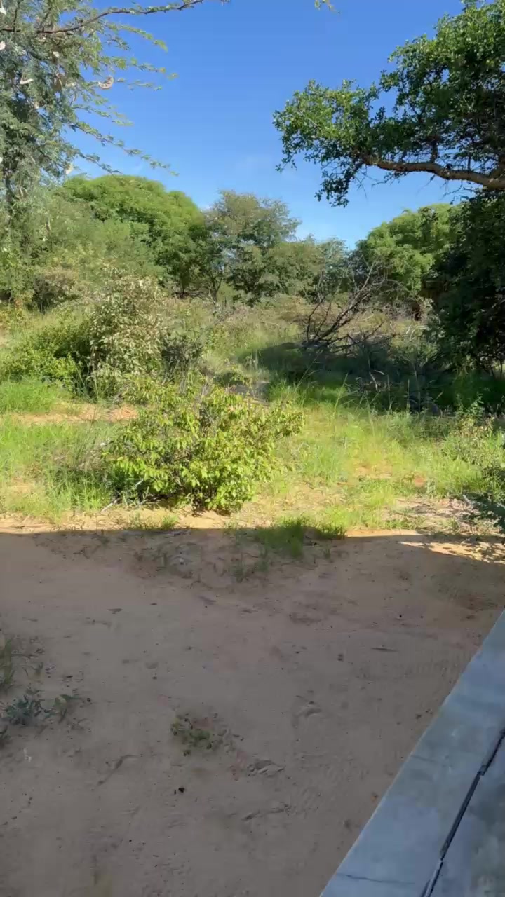 @Tangeni Lazarus
