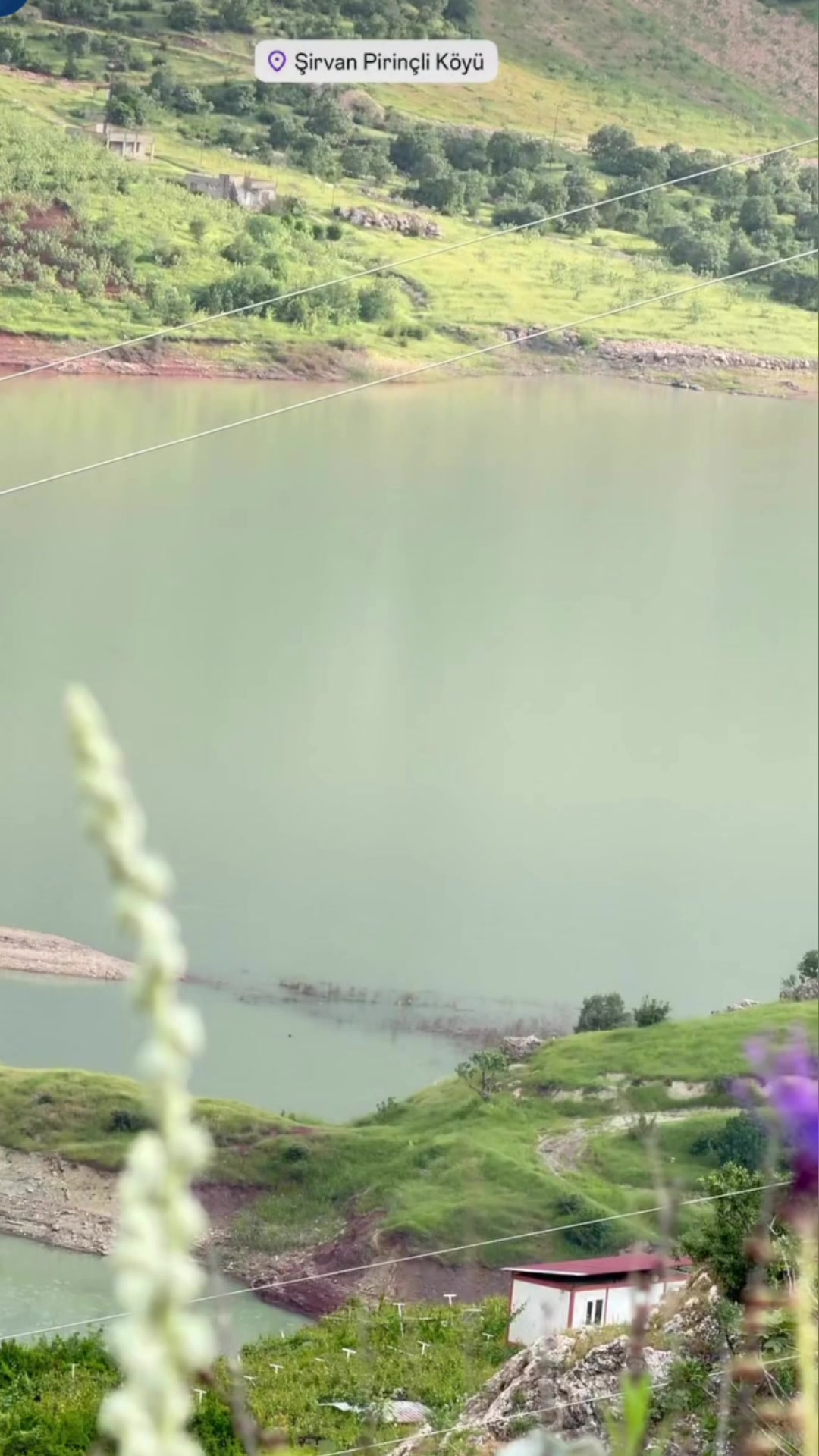 @Emine Başkurt