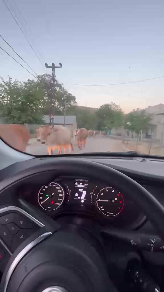 @Ömer Faruk sayğın