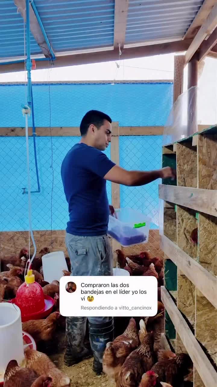 @Felipe miralles Tío Reycar