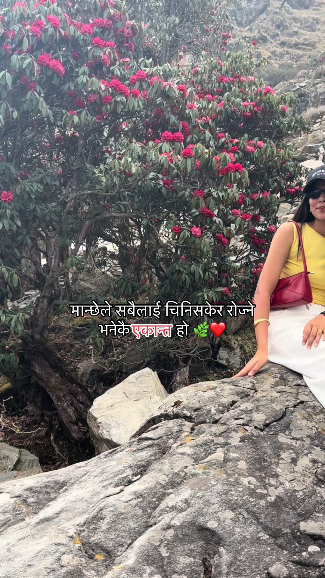 @🌷