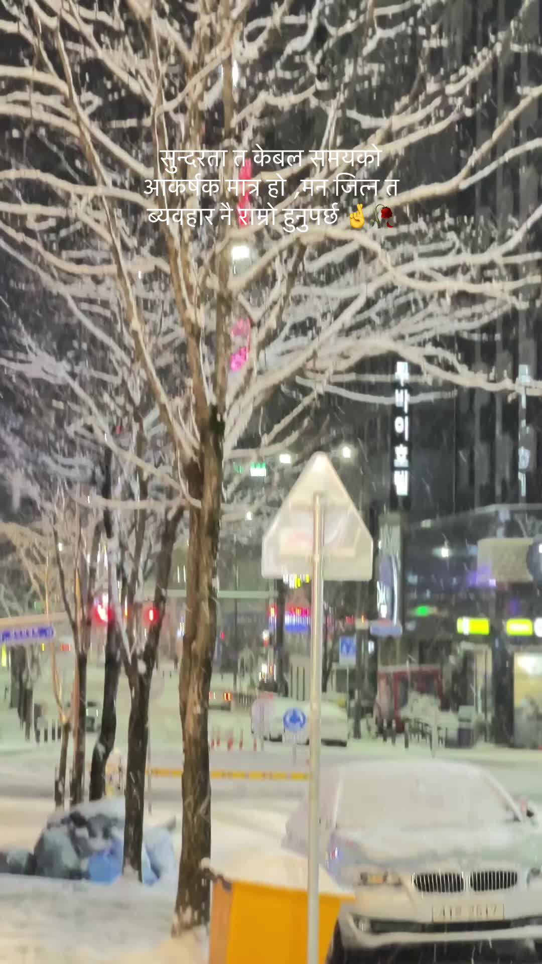 @ZenTashi 🤍