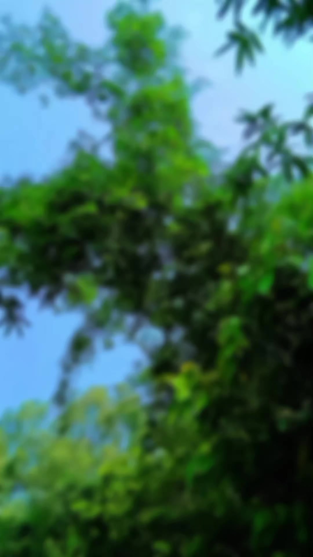 @꧁དℭ℟&Aring;ℤ&yen;༒₭&Iuml;ḼḼ℥℟ཌ꧂◤