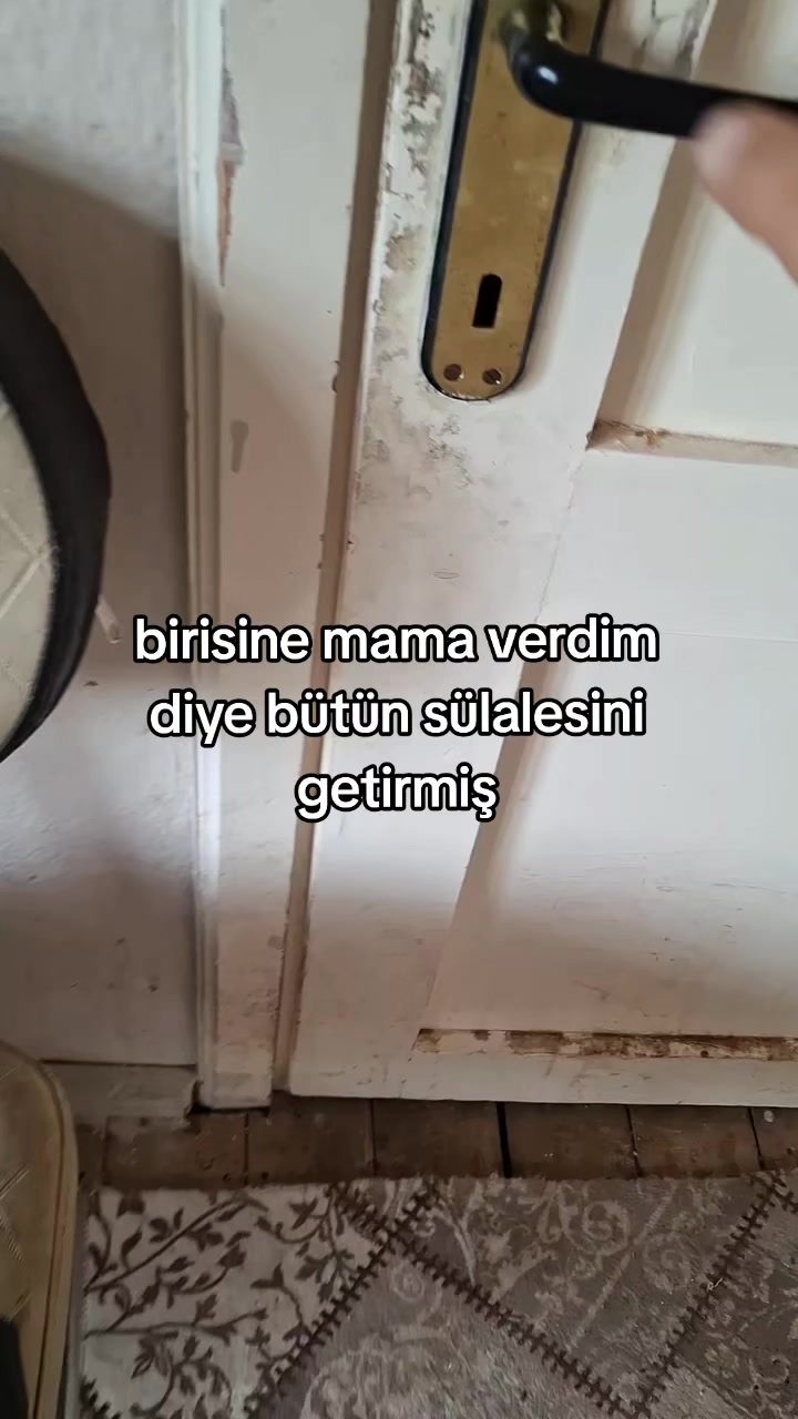 @rolland