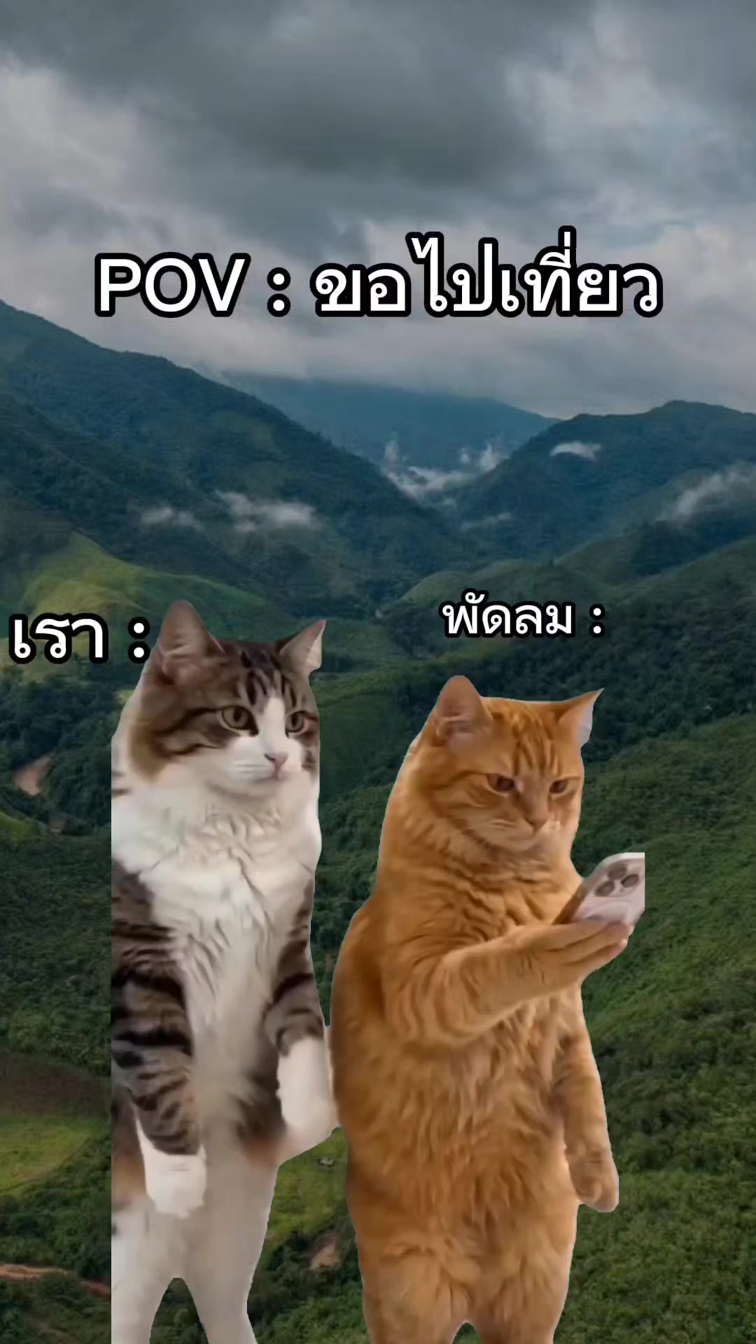 @จอ เอ เจ
