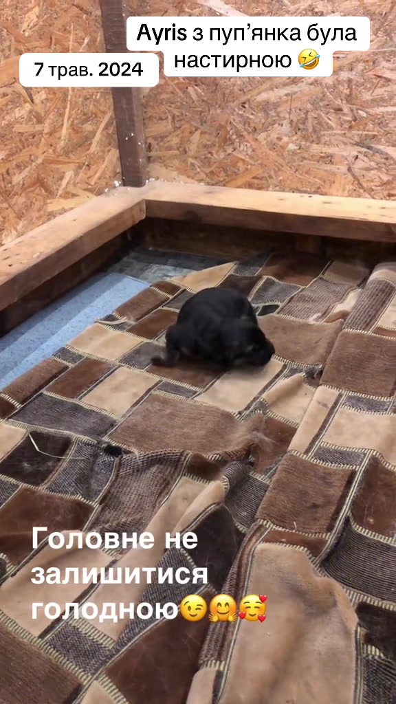@marynka🇺🇦