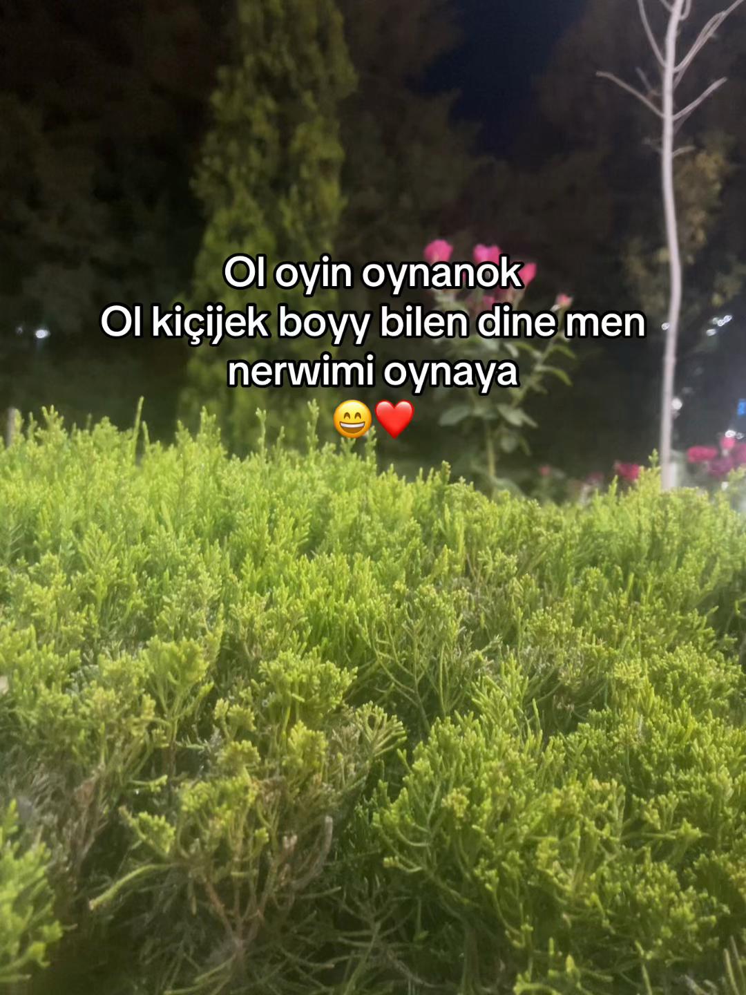 @𝓐𝓻𝓼𝓲𝓲__𝟕 
