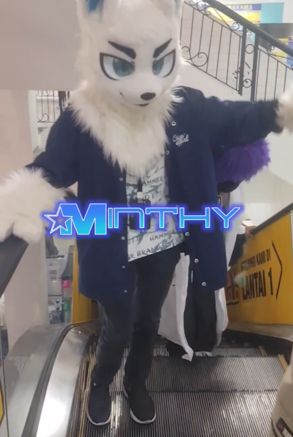 @★MinthY★𓆩👾𓆪