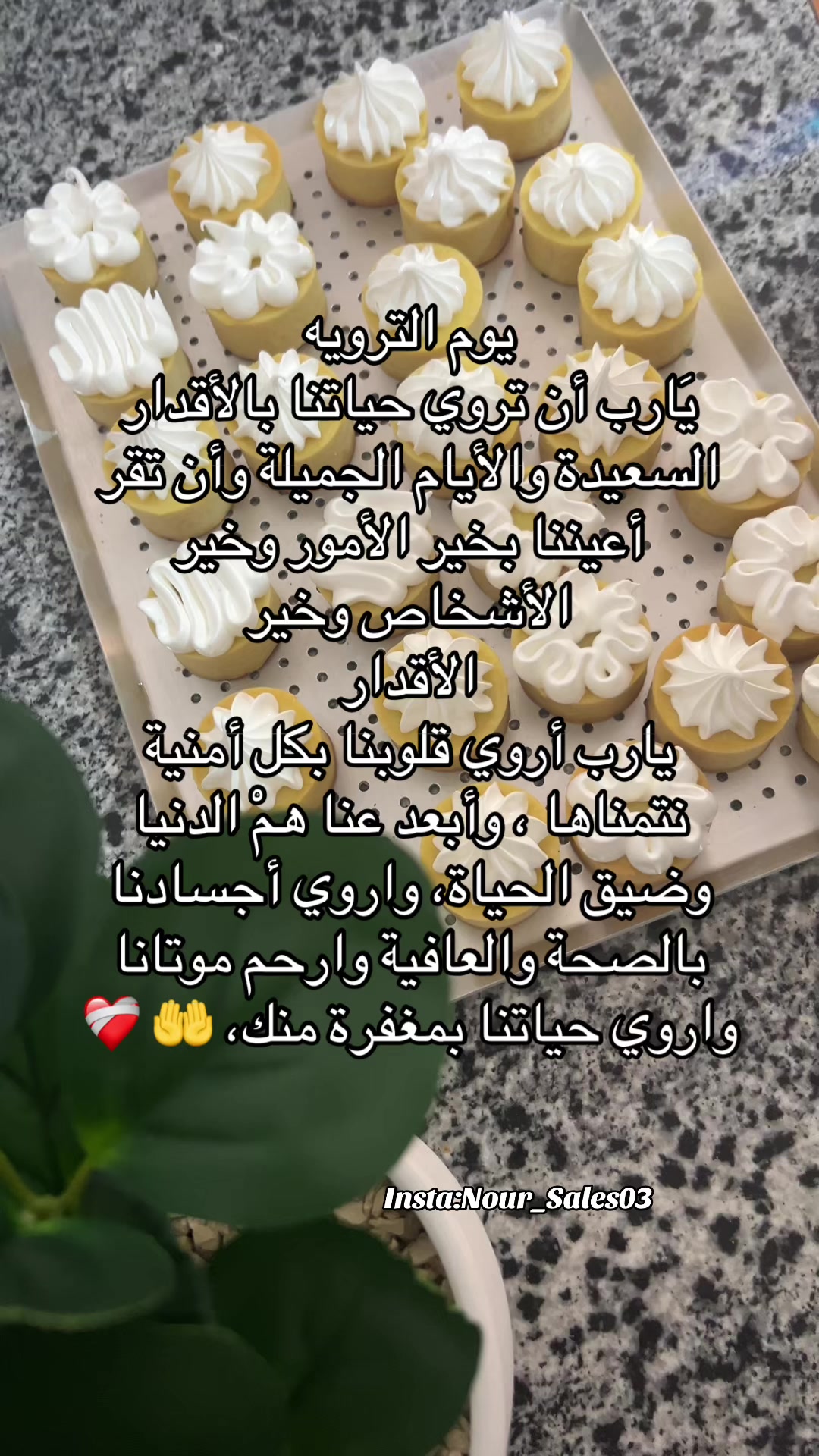 @Nour_sales03