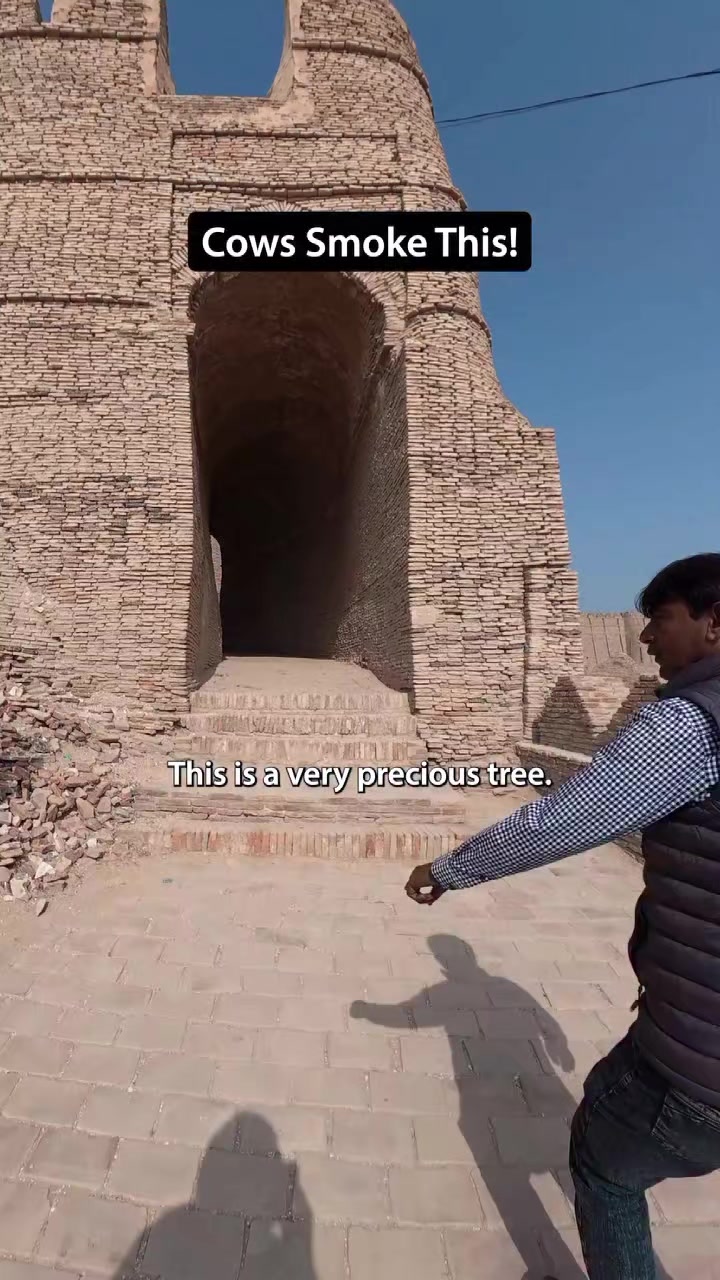 @Subhash.Talreja