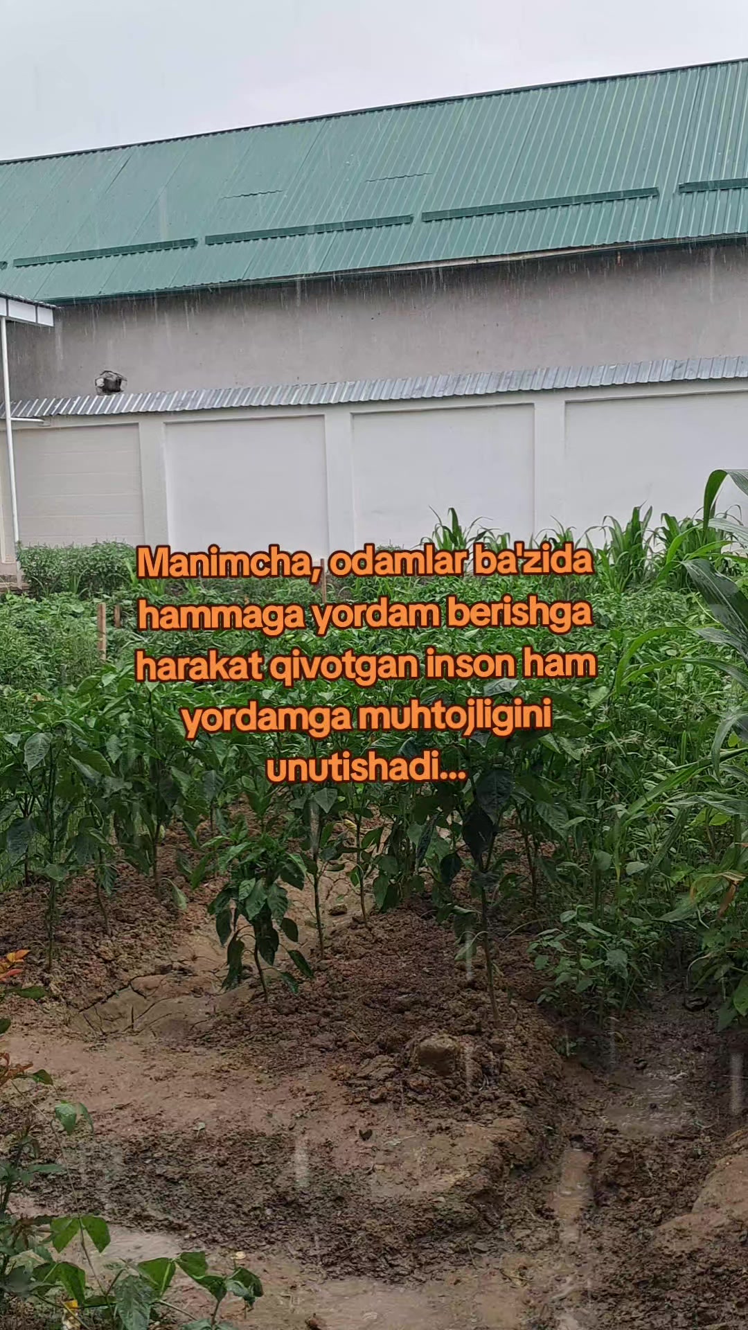 @Kulochok Oyi