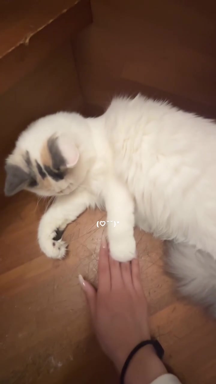@ワタシの可愛い天使達💘