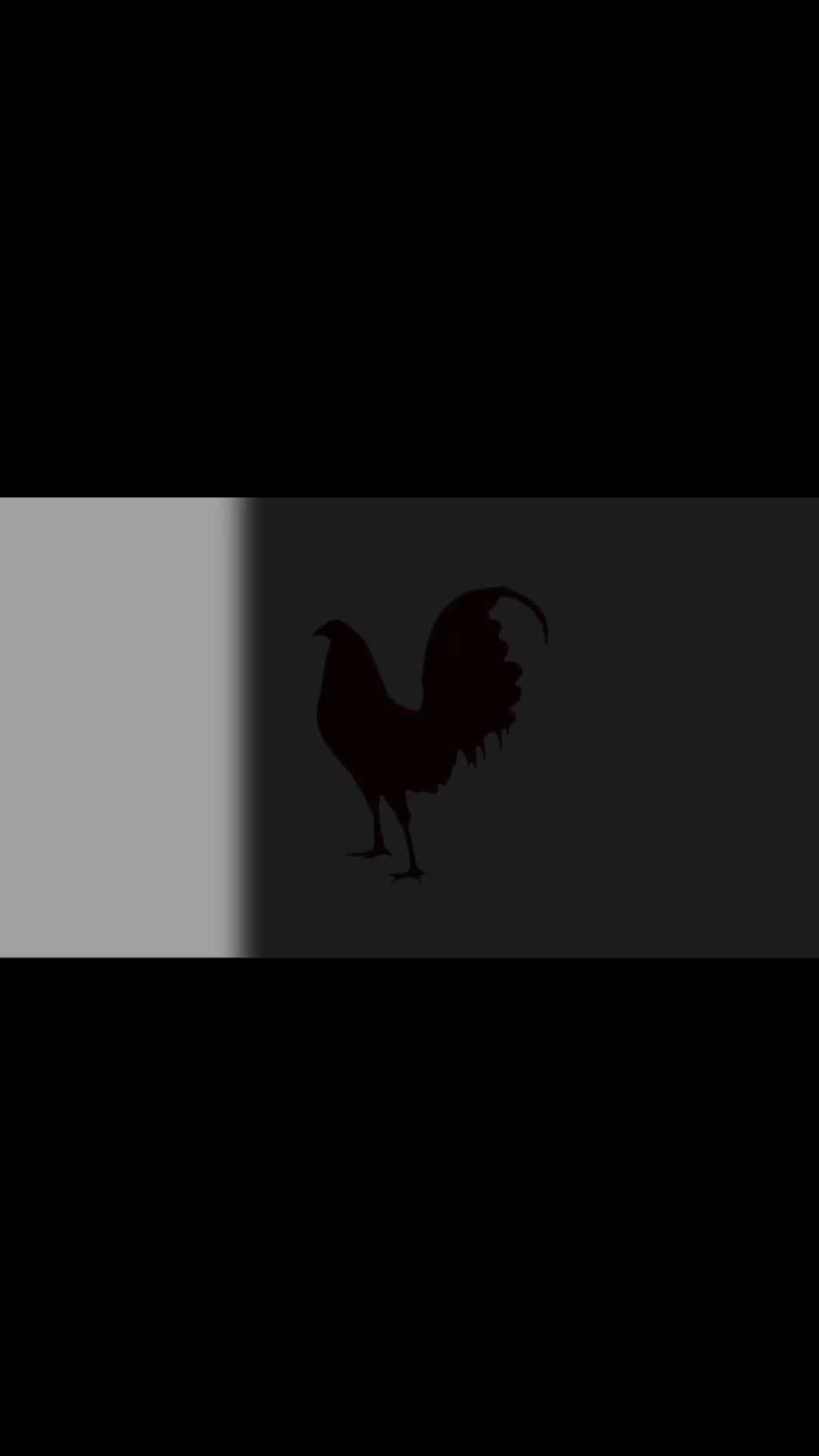 @๐๐๐๐๐ ๐๐๐๐๐ ๐ถ