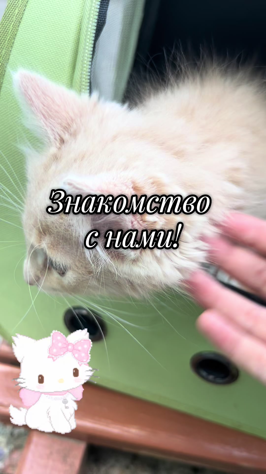 @🌸|| 𝓡𝓪𝓰𝓱𝓪𝓽𝓪||🌾