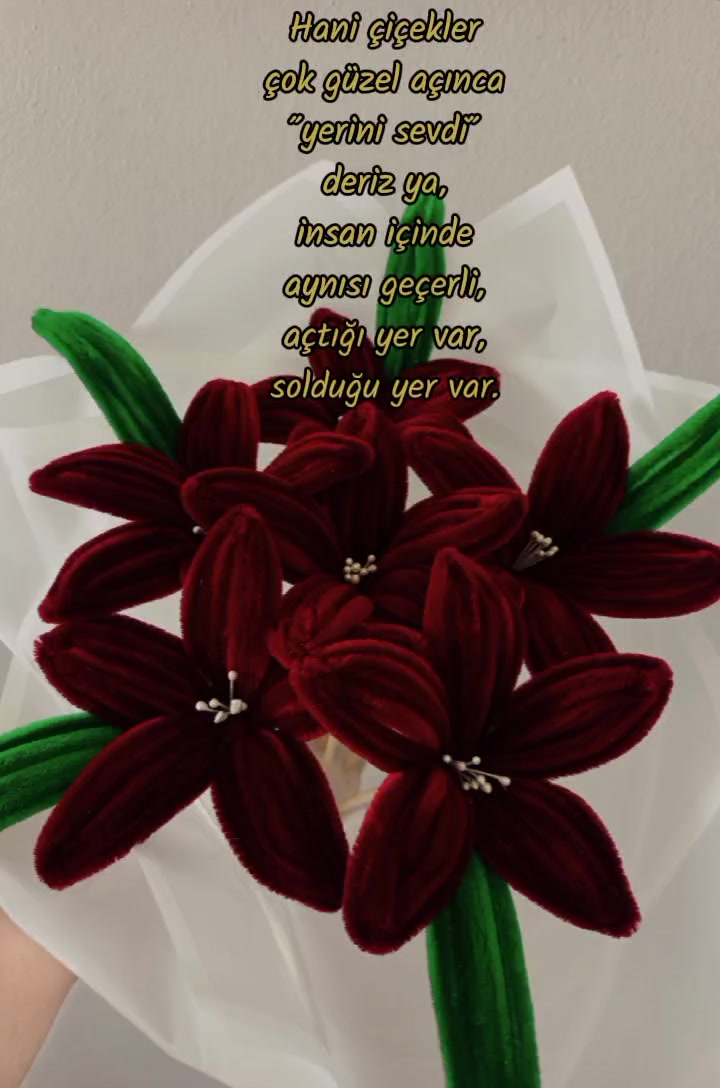 @Şönil Buketim🌷