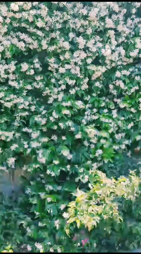@Deniz🌊4️⃣8️⃣00🏖️🌞