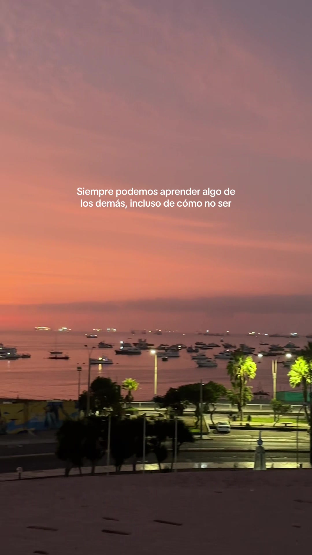 @Alisson Paredes
