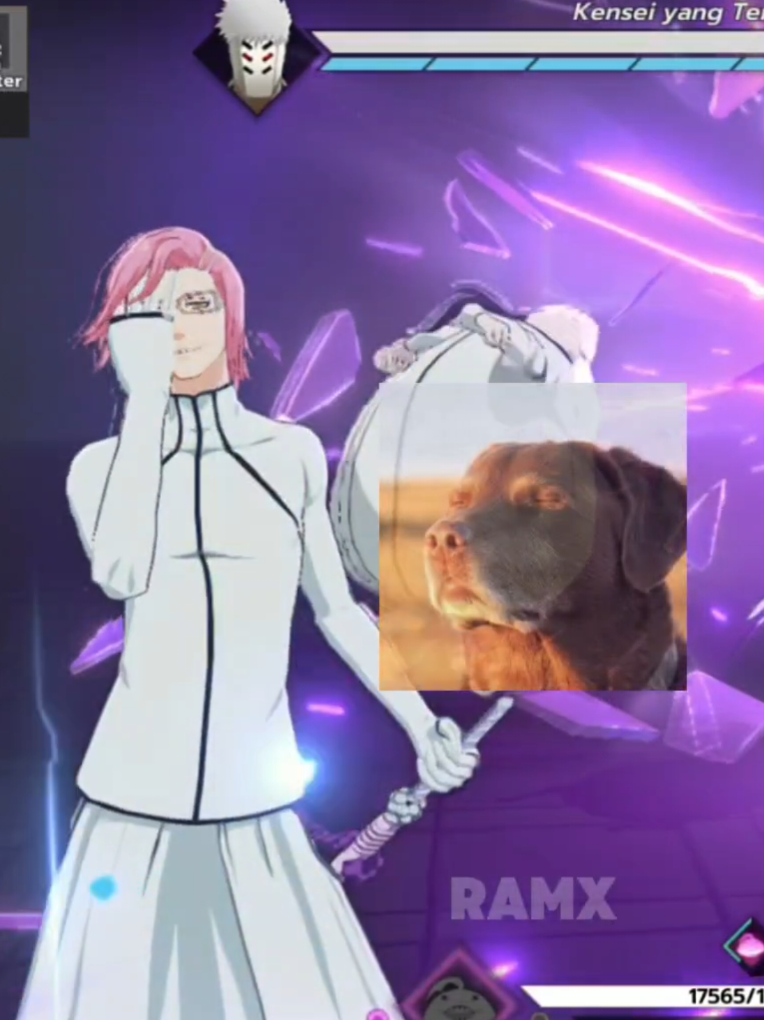 @RAMX