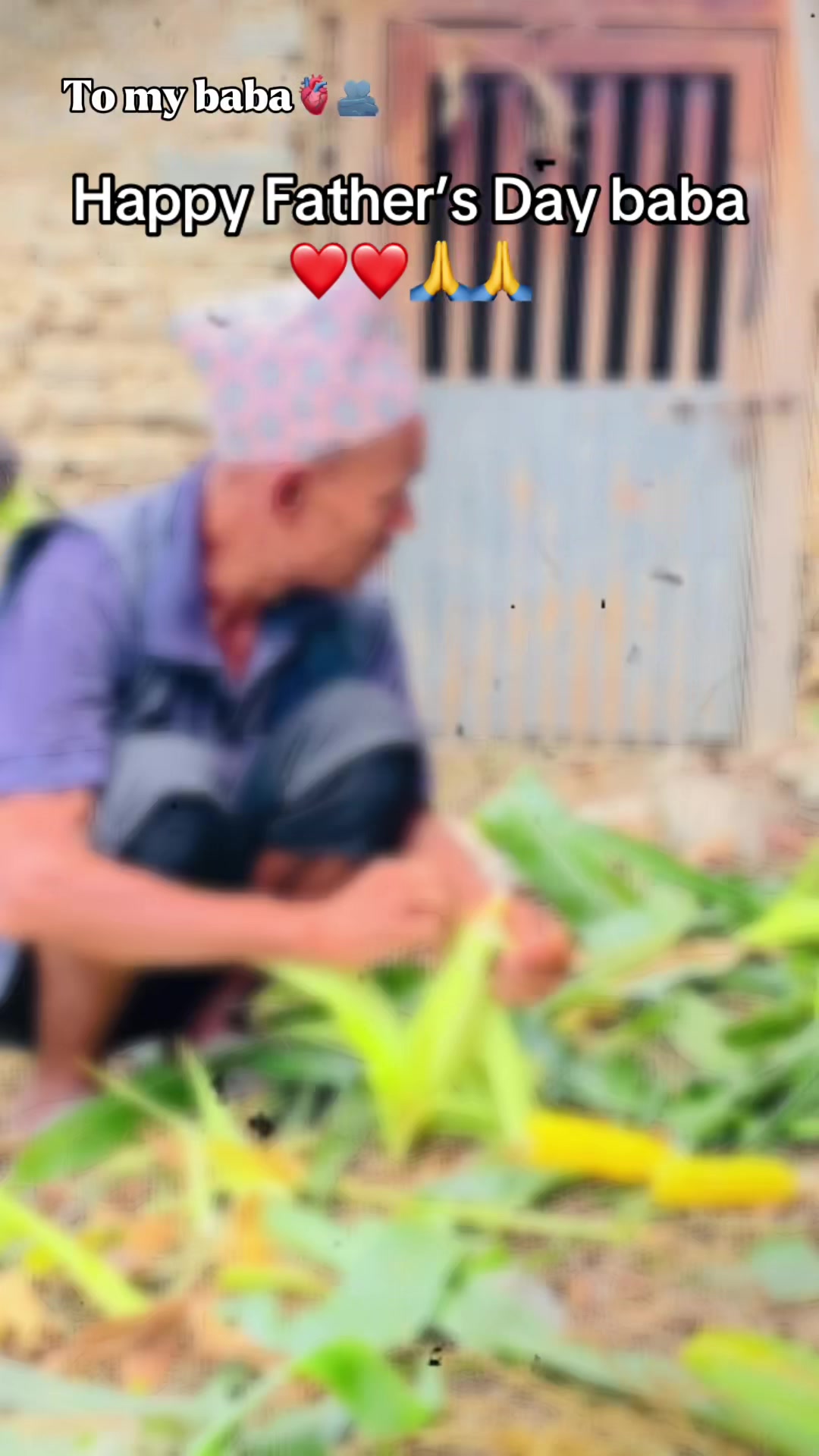 @D<पिका>🌸🫶