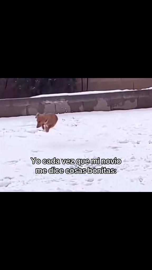 @xavi.mv