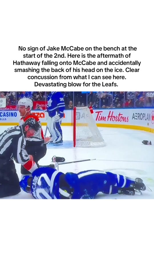 @LeafsLexi 🇨🇦