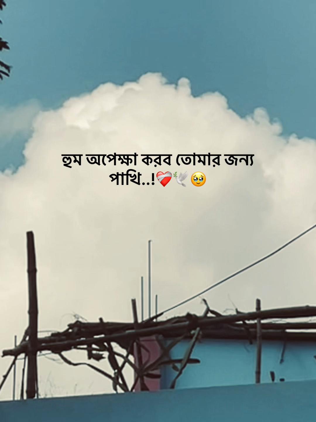 @S_A_Y_M_O_NđĨ°SAMMIHAđĨ°