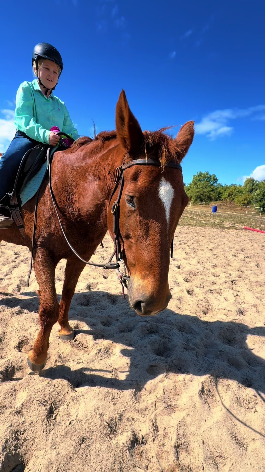 @Stable Connection